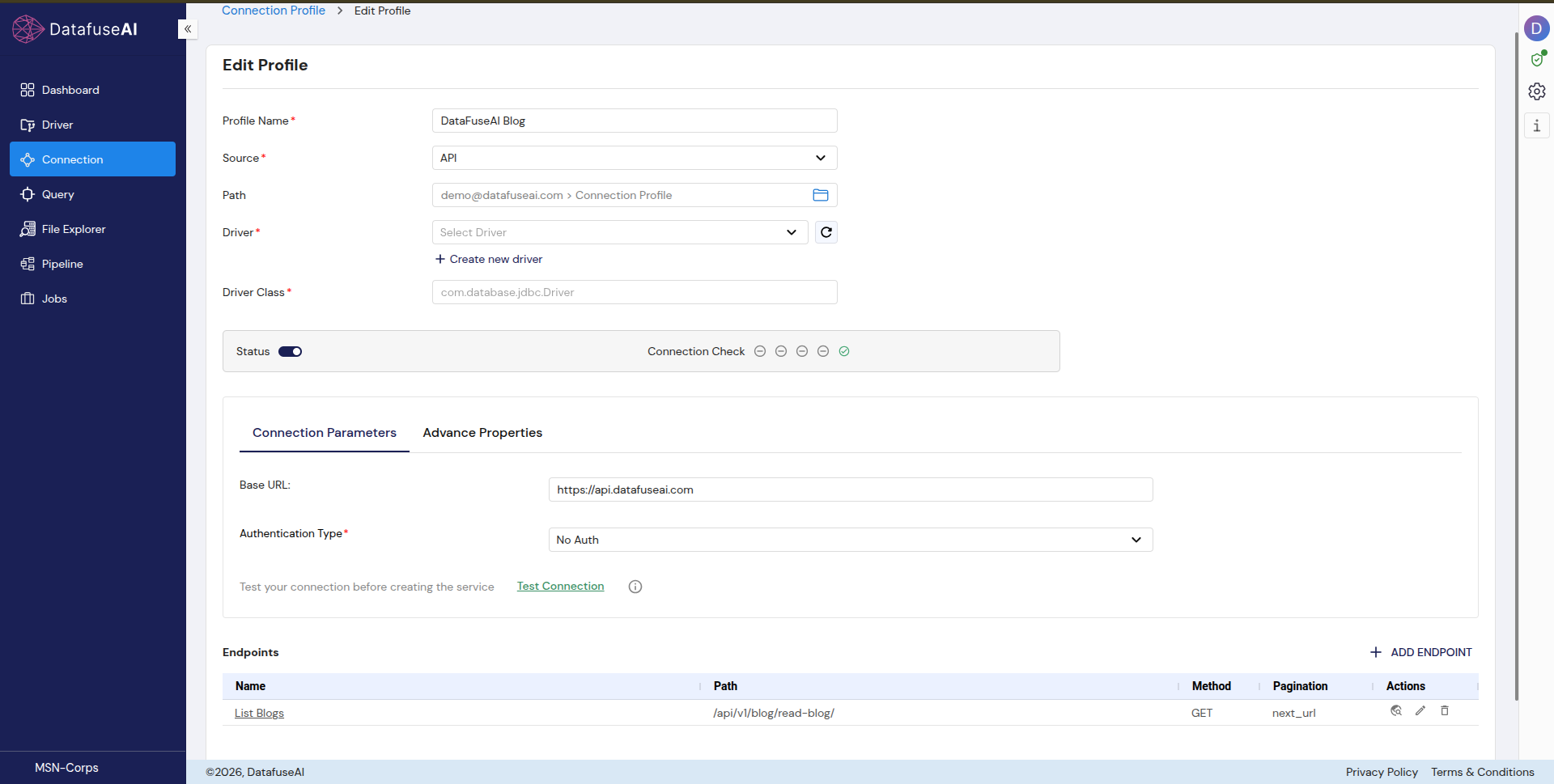DataFuseAI REST API connection profile showing configured endpoints with pagination
