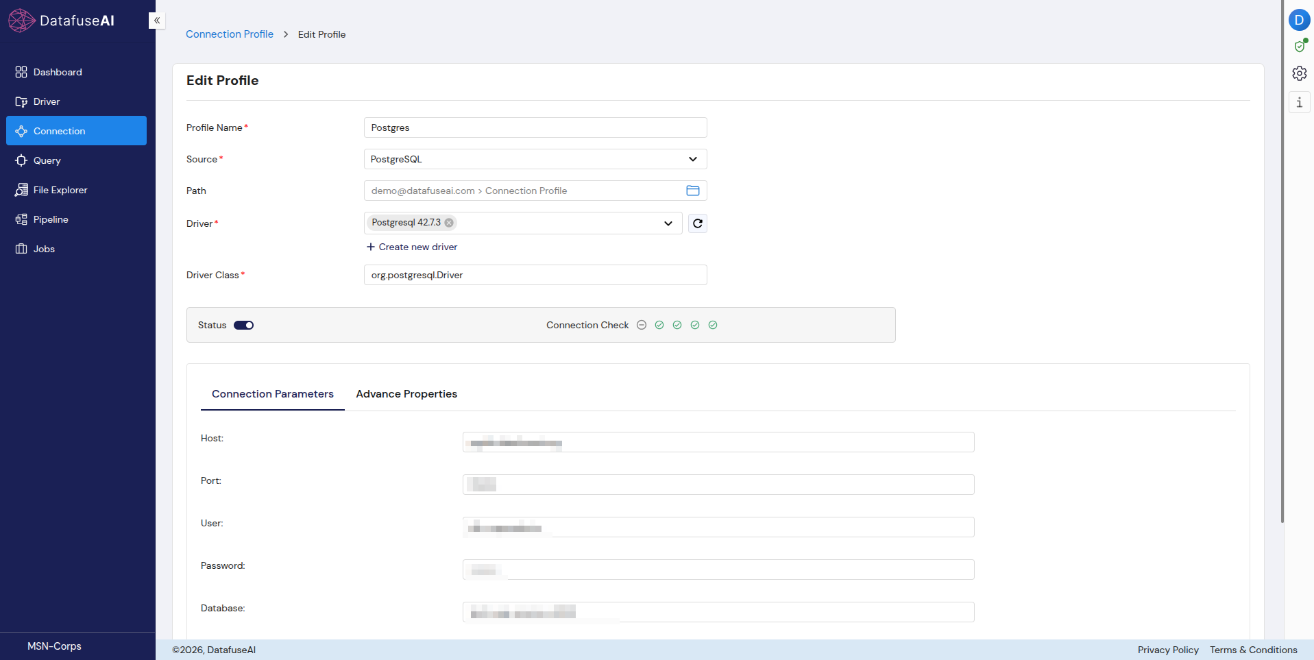 DataFuseAI PostgreSQL connection profile with a successful multi-step connection check